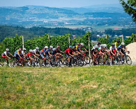 kids tour of slovenia 2025