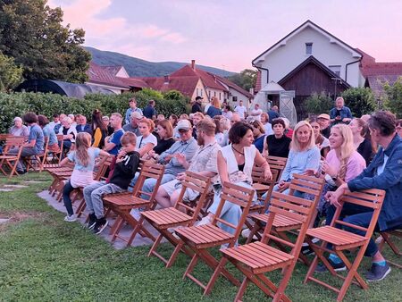 Žive besede v Kostanjevici na Krki